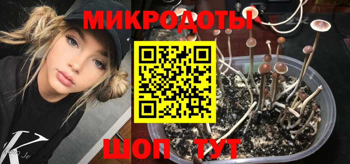 Псилоцибиновые грибы MAGIC MUSHROOMS  Вход с VPN  Воронеж 